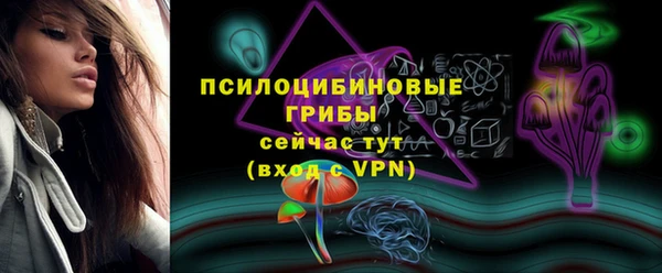 мдма Новодвинск