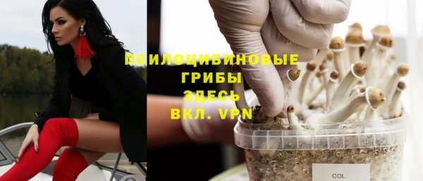 экстази Новозыбков