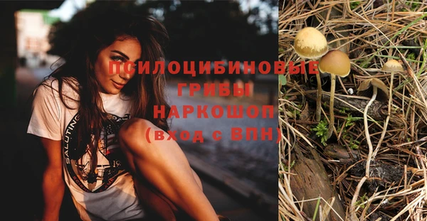 экстази Новозыбков