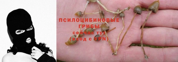 экстази Новозыбков