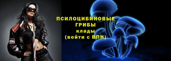 мдма Новодвинск