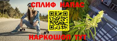 альфа пвп Волгодонск