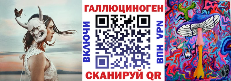 Галлюциногенные грибы Psilocybe  Краснокаменск 