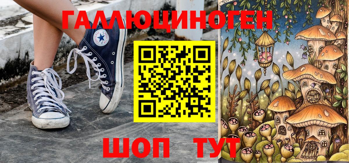 Псилоцибиновые грибы Psilocybine cubensis  Вход с VPN  Краснокаменск 